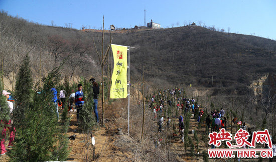 植樹現場如火如荼 植樹現場如火如荼