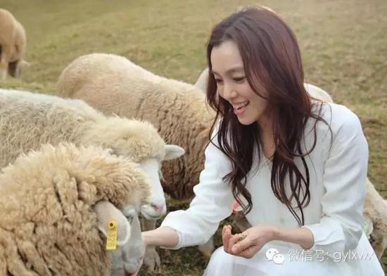 明星旅行糗事一籮筐 總有一個萌到你！