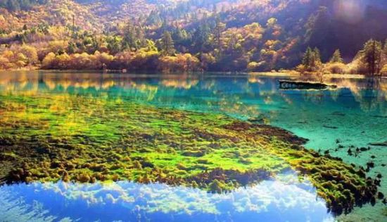 門票那么貴 沒法玩耍了!