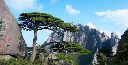 門票那么貴 沒法玩耍了!