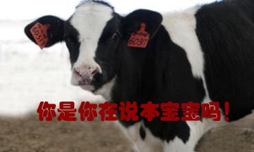 關(guān)我什么事！