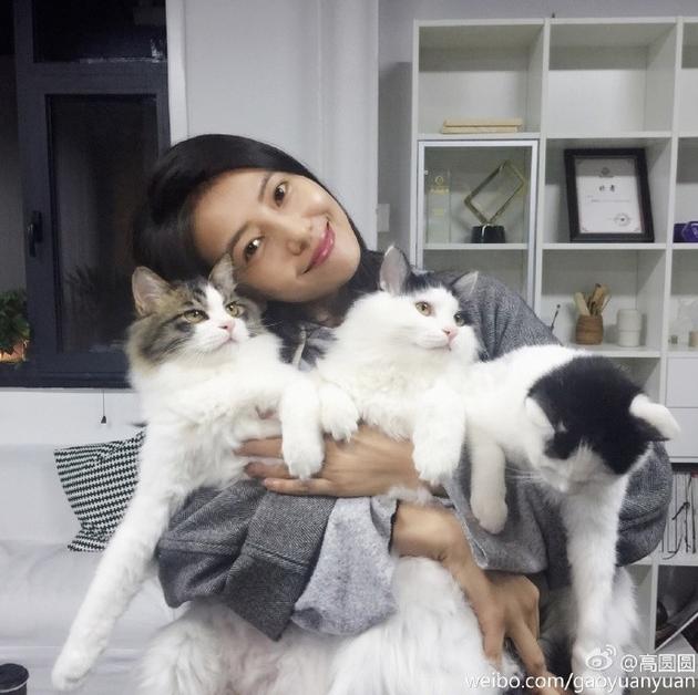 高圓圓發文疑似懷孕 高圓圓發文疑似懷孕