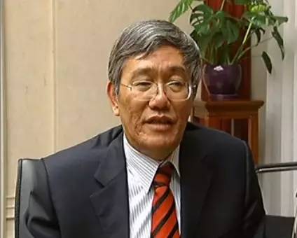 中央財經領導小組辦公室副主任楊偉民 中央財經領導小組辦公室副主任楊偉民