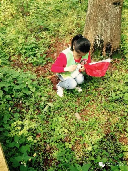 終于找到了! 終于找到了!