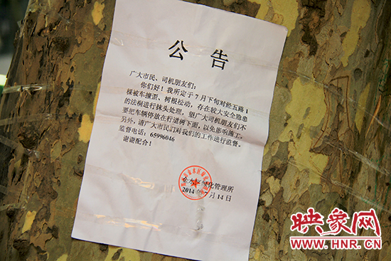 金水區綠化管理所的公告 金水區綠化管理所的公告