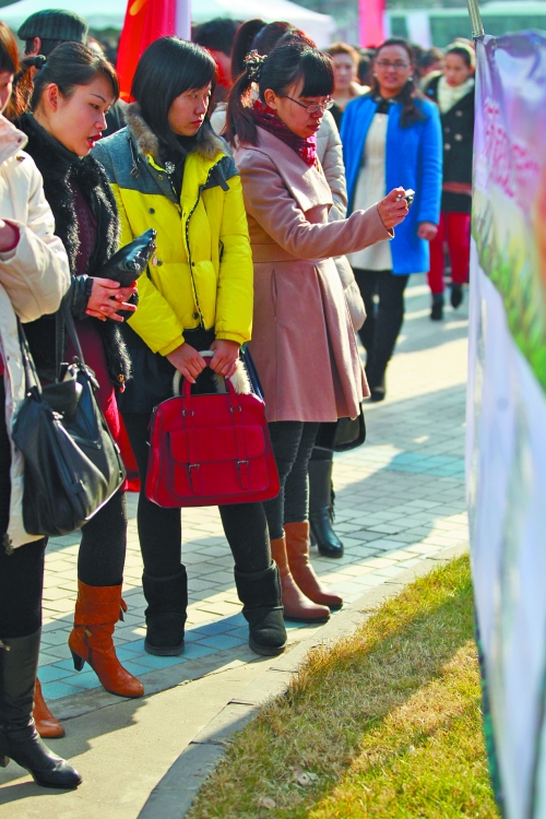 展板上粘貼的會員信息,吸引著單身男女的關注