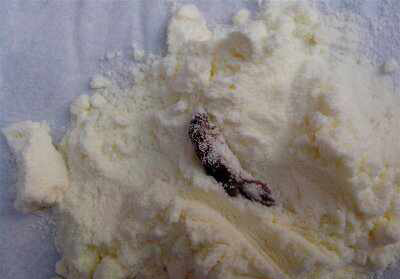 多美滋奶粉吃出蟑螂 售后揚言:你帶孩子找消協 多美滋奶粉吃出蟑螂 售后揚言:你帶孩子找消協