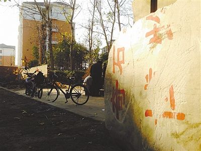 昨日，“上海奇石盆景博物館”原址上，已矗立起小區樓盤，而刻著博物館名的巨石，廢棄在一旁。本版圖片/新京報記者 張永生 攝