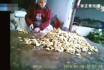 泡菜廠被爆用“黑水泡霉姜”制泡菜 泡菜廠被爆用“黑水泡霉姜”制泡菜