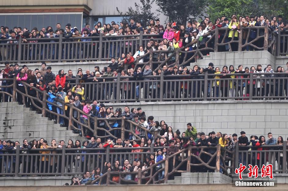 重慶上萬粉絲在南濱路等待《奔跑吧兄弟》節目的錄制。