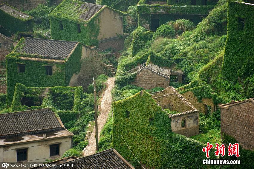 浙江舟山一荒廢海島宛如綠色童話世界 浙江舟山一荒廢海島宛如綠色童話世界