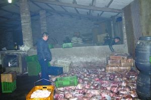 警方現(xiàn)場查獲的大量病死豬肉及“問題”腌臘制品。 沙區(qū)警方供圖 警方現(xiàn)場查獲的大量病死豬肉及“問題”腌臘制品。 沙區(qū)警方供圖