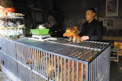 南京另一家農貿市場內待售的活雞。因南京出現H7N9禽流病例，買活雞的顧客減少。