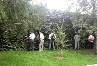 6月30日，頤和園內綠地上，多名游客在小解。 網友“攝影老鬼” 攝