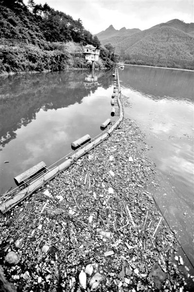 7月7日，廣西賀州市賀江合面獅段被污染的水域。據(jù)新華社