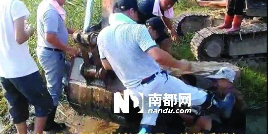 幾名戴黑帽的男子將一名老人推入水塘，后反復腳踹。