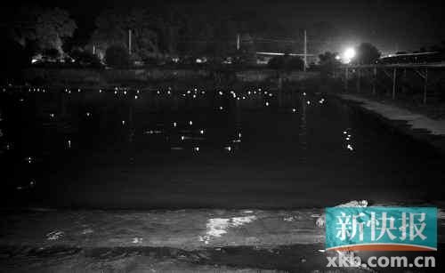 昨日，西湖村鱷魚養殖場已修復圍欄。