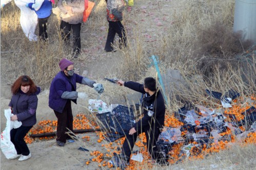 蘭州貨車側翻橘子遭百余村民哄搶,警察拔槍制止 蘭州貨車側翻橘子遭百余村民哄搶,警察拔槍制止