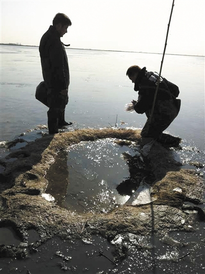 天津北大港濕地深處，警方對(duì)“毒池”液體取樣。　
