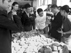 前段時間，夫子廟古玩城舉行的一場賭石活動，吸引了不少人參與