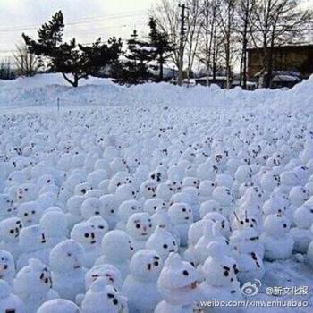 網傳“煙臺男子大學生堆1314個雪人表白”。微博圖