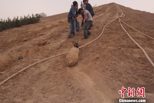 　4月27日上午，當地村民在瓜地溝村一綠化處挖出一枚長1米，重200斤的炸彈，5月10日，這枚炸彈已