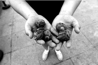 “大煙殼”輕易就可以買到。下圖：女?dāng)傊髂贸霾卦诩t色兜子里的“大煙殼”，向記者兜售。京華時(shí)報(bào)實(shí)習(xí)記者趙思衡攝