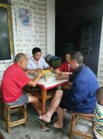 掃水掃不及，胥家鎮柏河村的居民干脆打起了麻將。