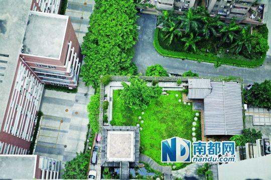 中旅商務大廈的“空中花園”。