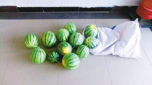 男子開價(jià)值30余萬(wàn)汽車偷西瓜 被捕后稱為尋刺激 男子開價(jià)值30余萬(wàn)汽車偷西瓜 被捕后稱為尋刺激