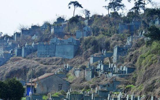 浙江紹興墓群為復(fù)綠遭刷綠漆 當(dāng)?shù)胤Q因難種樹