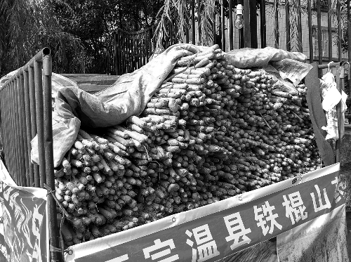 很多種植戶(hù)在街頭出售鐵棍山藥 很多種植戶(hù)在街頭出售鐵棍山藥