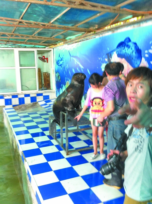 海獅館內的攝影師警惕性很高,禁止記者拍照。