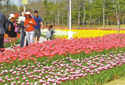 鄭州28日部分區域有陣雨 未來兩天氣溫進一步下降 鄭州28日部分區域有陣雨 未來兩天氣溫進一步下降