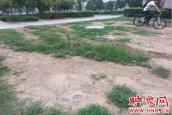 公園內大片草坪遭到破壞。 公園內大片草坪遭到破壞。