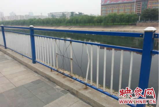 公園內多個護欄中間的鋼筋條不翼而飛,僅僅是用幾根細細鐵絲纏住。 公園內多個護欄中間的鋼筋條不翼而飛,僅僅是用幾根細細鐵絲纏住。