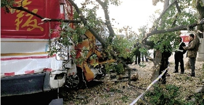鄭州街頭大卡車"發飆"擠傷5輛車