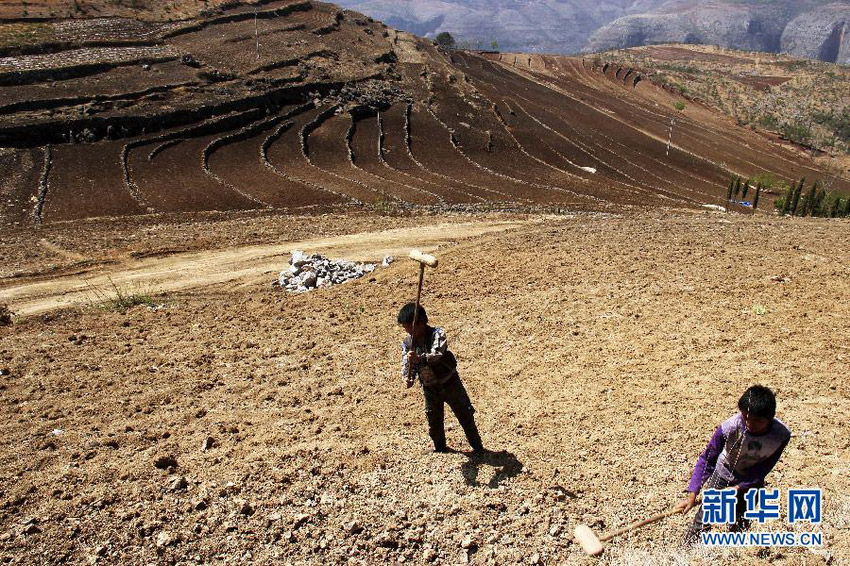 3月16日，在貴州省畢節市威寧縣斗古鄉中關村，兩個孩子幫助家人在干旱的土地上勞動。