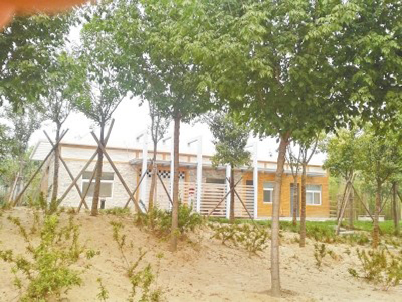 鄭州近百個(gè)公廁天天鎖門 附近綠地卻成便溺處