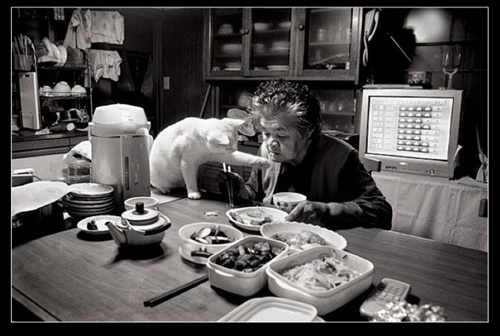 進食 祖母與貓的溫情世界