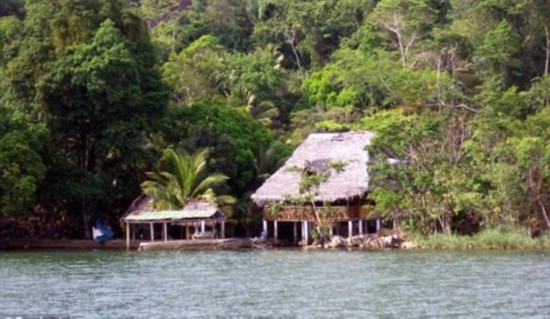 美國殺毒軟件公司“邁克菲”的創始人約翰·邁克菲（John McAfee）"一夫七妻"