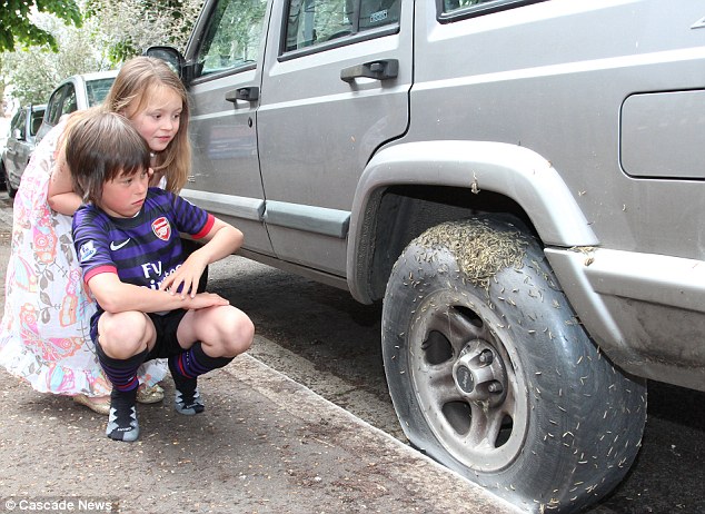 英街區遭毛蟲"入侵" 英街區遭毛蟲"入侵"