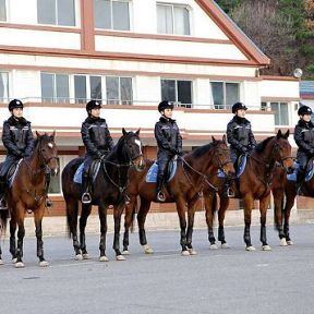 探大連女騎警訓練基地