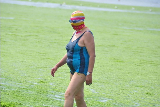 2013年7月3日，山東青島青島高溫來(lái)襲，“青島大媽”不懼滸苔，戴著“強(qiáng)盜面具”出現(xiàn)在海水浴場(chǎng)消暑降