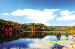 初冬游重慶石柱 90元玩遍四大景區