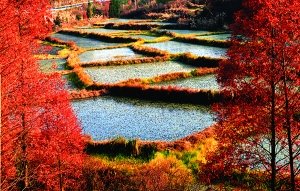 初冬游重慶石柱 90元玩遍四大景區