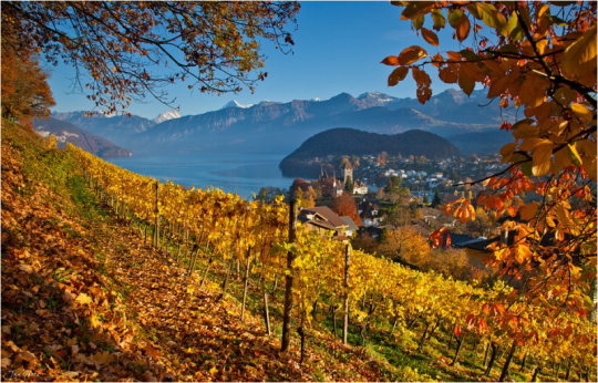 繼續一段弗里堡的午后時光 繼續一段弗里堡的午后時光