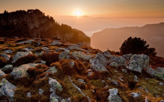 繼續一段弗里堡的午后時光 繼續一段弗里堡的午后時光