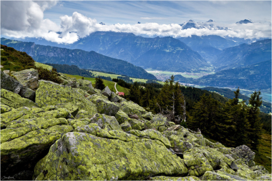繼續一段弗里堡的午后時光 繼續一段弗里堡的午后時光