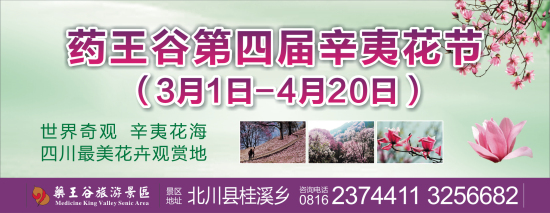 藥王谷第四屆辛夷花節